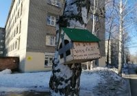 От обуви до попугайчиков: все уровни дискриминации