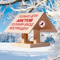 От обуви до попугайчиков: все уровни дискриминации