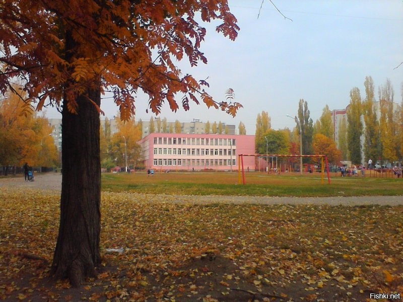 из личного архива)