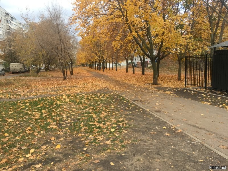 из личного архива)