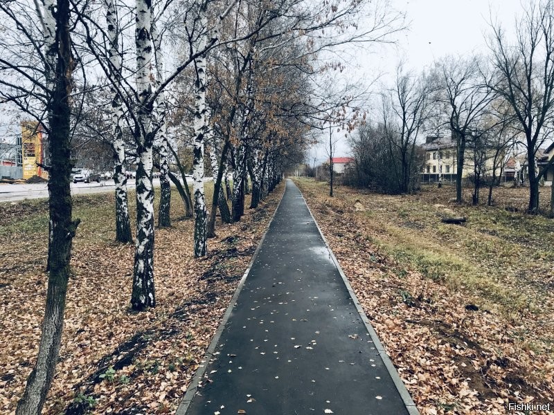 из личного архива)