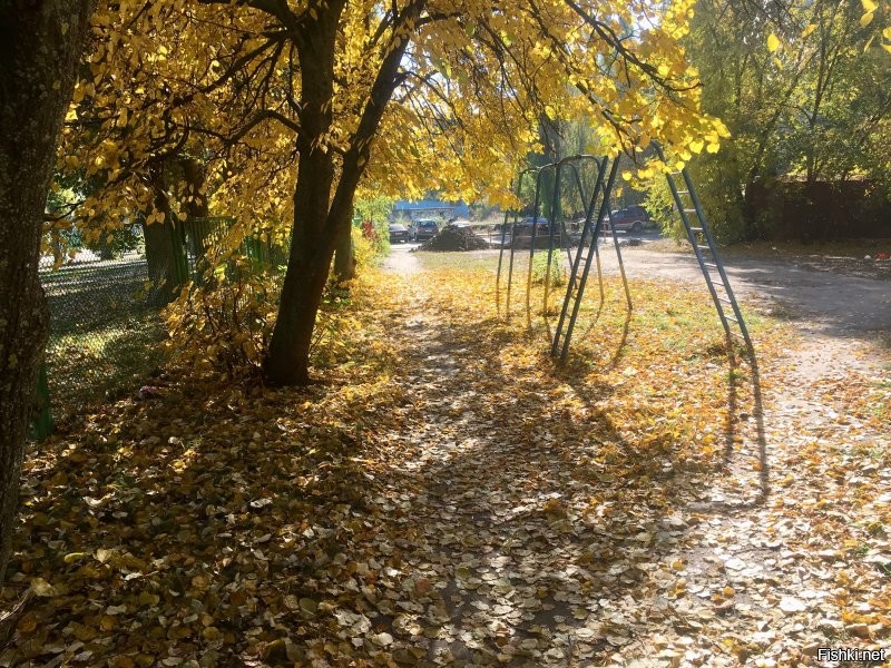 из личного архива)