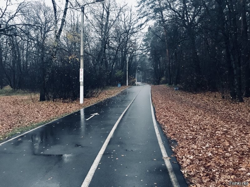 из личного архива)