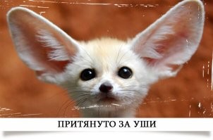 Нострадамус предсказал отстранение Карла III