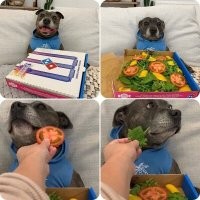 Это же надо было так песеля обидеть? Изверги!