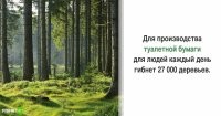 Не верю. Сегодня туалетная бумага вся переработанная.