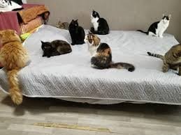 А эти культурные!?