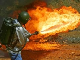 Пожертвую сараем