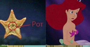 Скрины из соцсетей