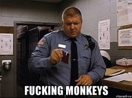 «Ты не попутал? Мою машину фоткаешь!»: автохам напал на инспектора московского паркинга