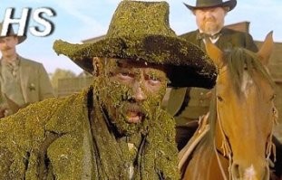 Йожика картинки. Выпуск 208