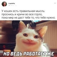 Ну или тапок прилетит