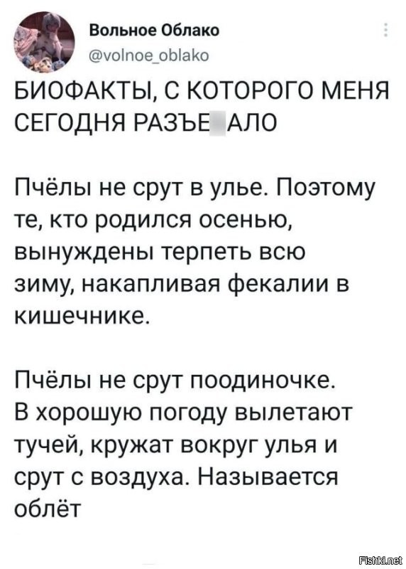 Если пчелы не могут совершить очистительный облет - они срут в улье и на улей. И на стены и на рамки. Это называется нозематоз, болезнь такая. Или леток просто может быть забит, пчеловод не уследил. Для предотвращения болезни дают лекарство, ноземат, с канди ( сахарная пудра с медом ).

Весной семью из обосранного улья пересаживают в чистый улей с чистыми рамками. Улей моют-обжигают ( если деревянный ), воск с рамок перетапливают, обеззараживают, и снова в прод.