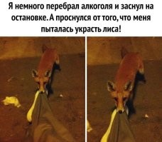 Не ищите здесь смысл. Здесь в основном маразм