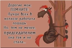 Всё вразнобой