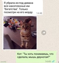 Йожика картинки. Выпуск 210