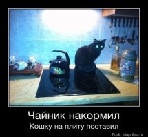 Йожика картинки. Выпуск 210