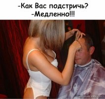 Йожика картинки. Выпуск 210