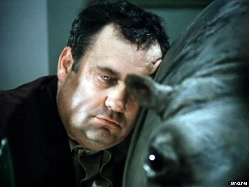 Эти пассажиры сделали полёт адским