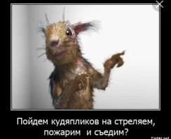 Йожика картинки. Выпуск 208