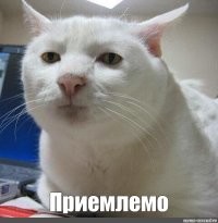 Намешалось