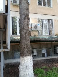 Фу, как не красиво! Не стыдно мужику на меленькую зверюшку с бейсбольной битой кидаться? вогт ко мне тоже регулятно приходят и белочки, и ёжики.  И ничё. Радуюсь :)