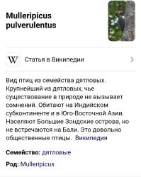 20 любопытных сравнений и фактов обо всём на свете