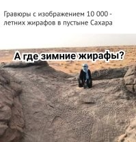 15 интересных предметов и ситуаций, которые не встретишь каждый день