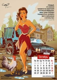 Йожика картинки. Выпуск 211