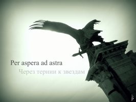 И что? Мы должны исследовать космос используя "зелёные" технологии и толкать спутники силой ветряков? Или делать марсоходы из био-разлагаемых материалов?  Или за каждый килограмм мусора на Марсе, мы там будем строить теплицу на 2 гектара с сине-зелёными водорослями? 
Марсу вообще наплевать, там на поверхности жизни нет, атмосфера из углекислого газа в 200 раз менее плотная чем на Земле, температура в среднем минус 40 градусов и серьёзная радиация от Солнца, так как во первых атмосфера не особо экранирует и магнитное поле крайне слабое. Да на поверхность Марса можно все свалки нашей планеты телепортировать и ничего не изменится там с большой вероятностью.
*Учёные конечно стараются, обеззараживают и стерилизуют зонды и аппараты которые планируется сажать на поверхность, но это ради чистоты эксперимента, чтоб земных микробушков туда не напускать (которые теоретически могут там выжить), а потом их же и не обнаружить и выступить с сенсацией - "на Марсе найдена жизнь земного типа".
Ну и самое очевидное, вкладывая гигантские деньги в исследование космоса, параллельно развиваются всяческие технологий, которые потом помогают человечеству решать проблемы тут, на Земле. Если ты решая какую-то сверх наукоёмкую фундаментальную задачу, мусоришь - то в конце пути у тебя будет и решение задачи и технологии для уборки. А если ты упоротый и боишься что-то делать, потому что "ой, будет грязненько" - так снимай с себя всю одежду, иди в лес, вырой там себе нору и живи чисто в гармонии с природой, пока волки не придут и не покажут тебе что такое эволюция, пищевая цепочка и безотходное производство (спойлер: из их фекалий потом какая-нить травка вырастет).
Мы такой вид, который стремится познать неизведанное, заглянуть за край, переступить границу, достать недосягаемое. Мозг - наше эволюционное преимущество, и это очевидно по отношению к другим видам на планете. Да, есть проблемы, да не все решения очевидно хорошие, да будет появляться побочный продукт в виде мусора.. но мы уже можем летать в космос, у нас есть ядерная энергетика, излечиваем страшные болезни, создаём искусственные органы, общаемся с друг дружкой через глобальную электронную сеть и стоим на пороге понимания механизмов Вселенной и квантовой физики.. вдумайтесь только.
Уж что-то, а с мусором человечество справится. Если надо, даже на другой планете. Пока просто смысла нет  этим упарываться на Марсе.
Если автор исследования сильно беспокоится, то может поехать и с Эвереста трупы убрать, вроде не так далеко в космических масштабах, и в целом по силам человечеству.