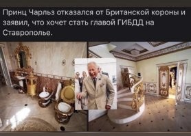 Смешные и познавательные картинки