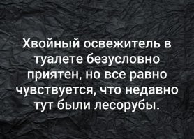 Хвойный освежитель - как будто кто-то под ёлкой насрал)