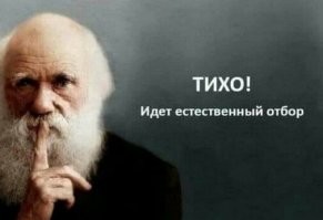 В Великобритании рекомендуют женщинам перестать рожать
