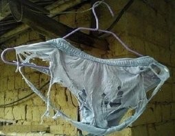 Йожика картинки. Выпуск 212