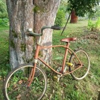 На фото не "школьник", а "ветерок"! У меня был, только двухколесный! Прямой привод(педали крутились постоянно) и колеса были литые не надувные! Телега мрачная! Помню другу купили "бабочку", я взял покататься, потом пересел обратно на "ветерок" и заплакал!