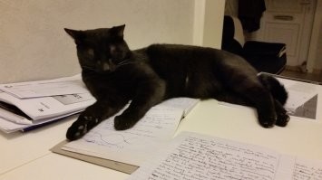 Мой ассистент по дипломной работе