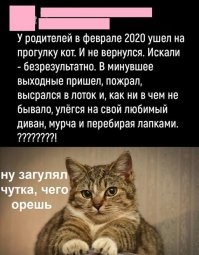 В армию забирали,не иначе...но сейчас же всего год служат, где он еще год шарое@бился???
