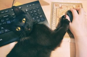 Наша младшая тоже любит "помочь" в работе :)