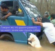 Собака не толкает, а держится. Если она встанет на четыре лапы, она под воду уйдет.