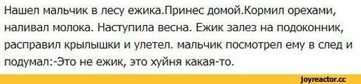 Йожика картинки. Выпуск 212