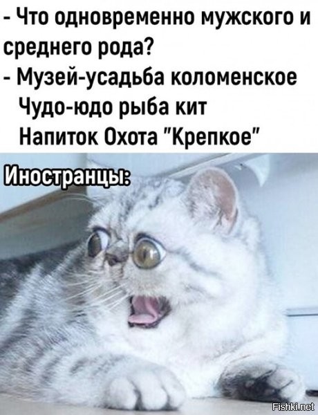 Буквально несколько месяцев назад вопрос звучал чуть длиннее: что одновременно мужского, ЖЕНСКОГО и среднего рода. Жду очередного высе... поста, где окажется последний из выживших)