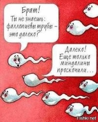 Всё вразнобой