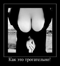 Всё вразнобой