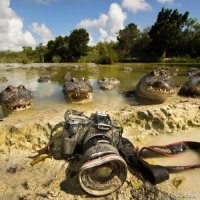 Фотоподборка