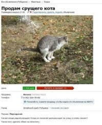 Объявления с Авито, в которых ни логику, ни здравый смысл искать не нужно — не найдёте