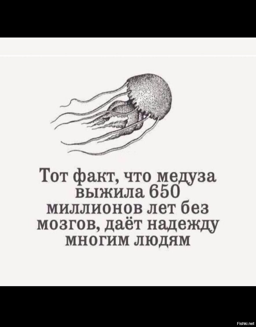 650 миллионов. Тот факт что медуза выжила. Тот факт что медуза выжила 650. Тот факт что медуза выжила 650 миллионов лет без мозгов. Медуза прожила 650 миллионов без мозгов.