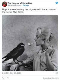 Думаю, сюда стоит добавить еще одну фотографию.Вот эту: