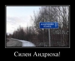 Свиншот и толстохульство: новые каламбуры и лингвошутки