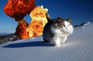 Как мило! ЗдОрово видеть красоту во всём! А я только мелкого пакостника увидела.
