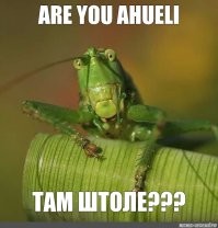 Немного юмора под вечер!